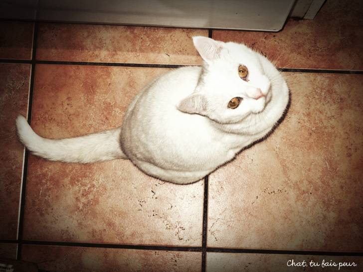 Aglaée - (8 ans)