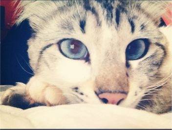 Lily - (1 an)