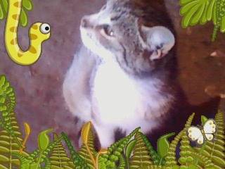 Mishy - (3 ans)