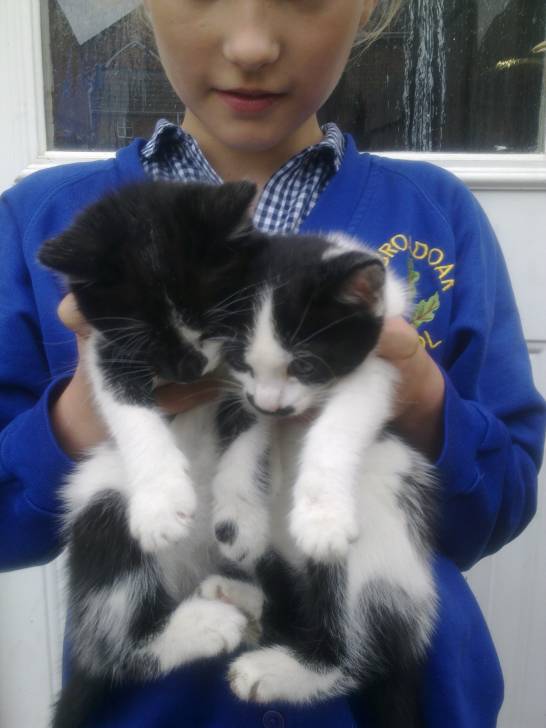 Samantha and Abigail - (7 mois)