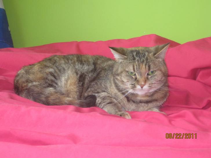 Sacha - (4 ans)
