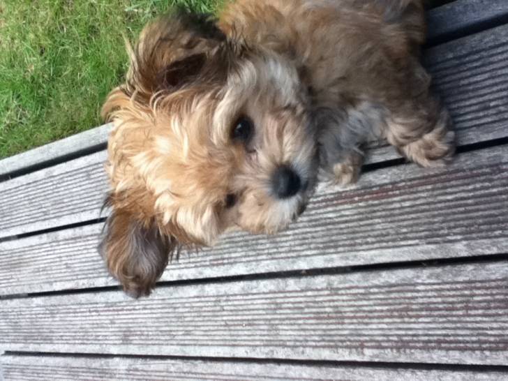 Kaly - (2 mois)