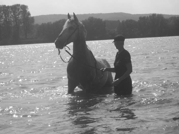 Tance - Mâle (12 ans)