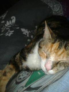Schnitte (lange geschichte) - (3 ans)