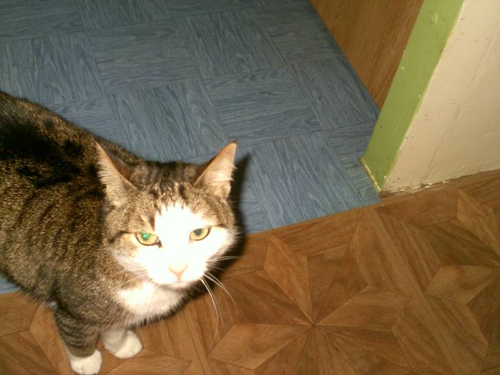 Pénélope - (12 ans)