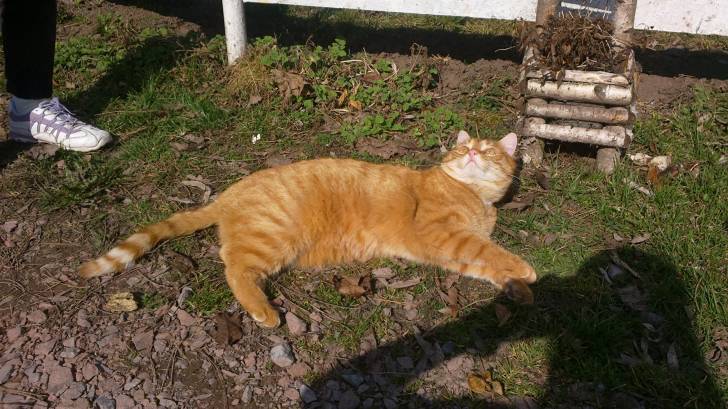 Sunny - (3 ans)