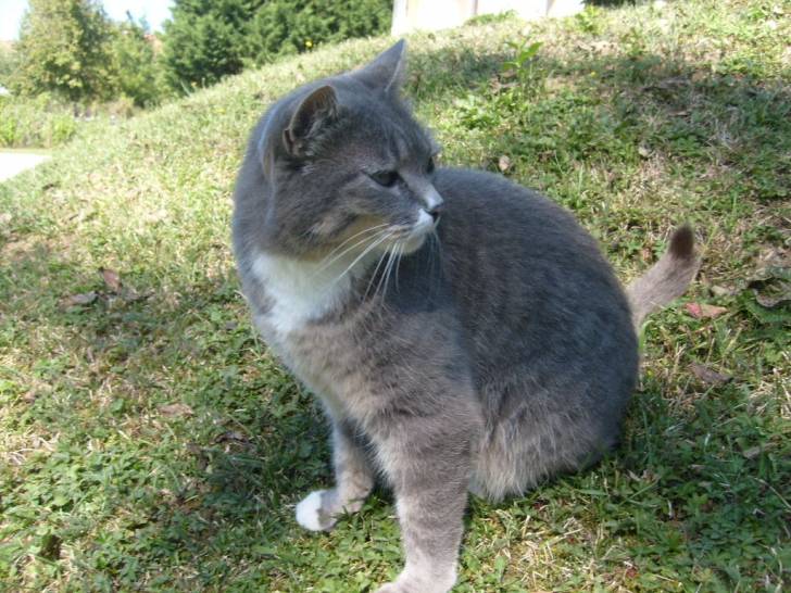Minette - (8 ans)