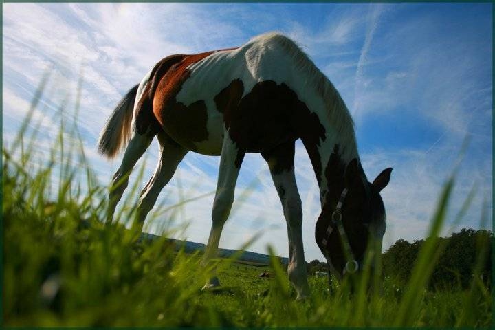 Valse de mai - (3 ans)