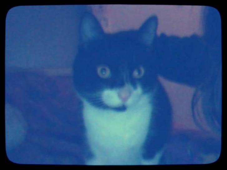 Coco - (2 ans)