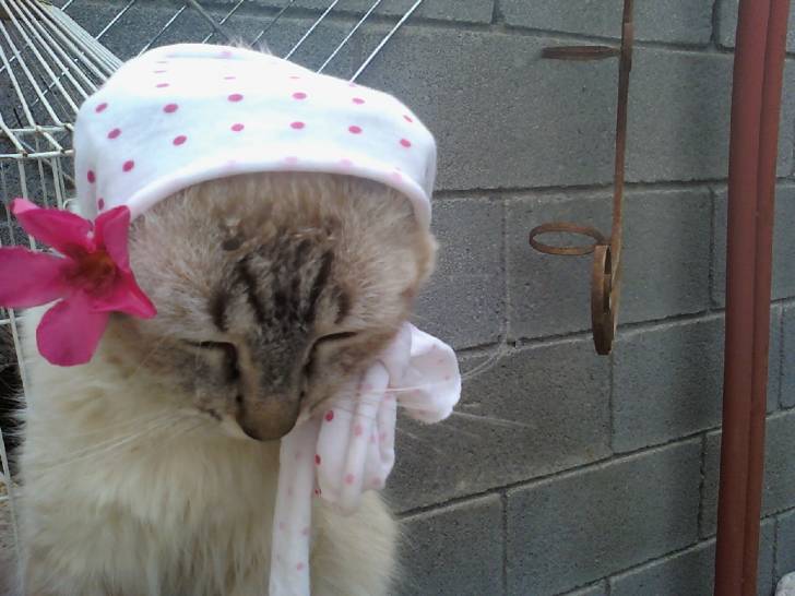 zelena - (2 ans)