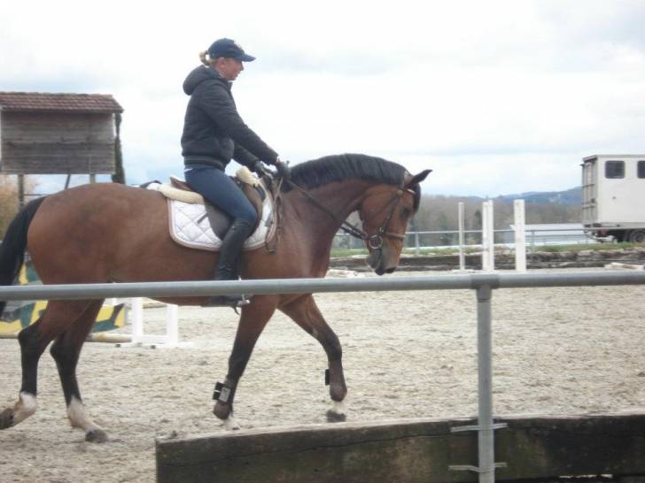 Cantara - (5 ans)