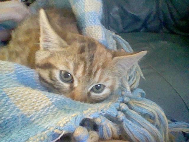 Mikkie ! - (2 mois)