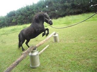fifi - (15 ans)