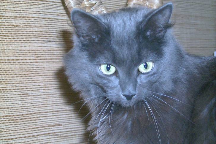 Lilou - (3 ans)