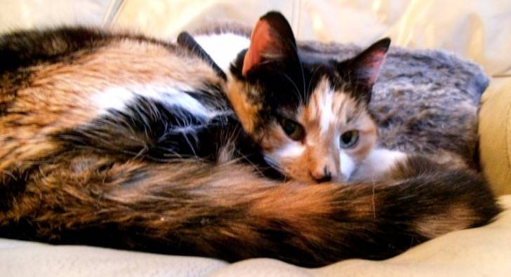 Bubbles - (13 ans)