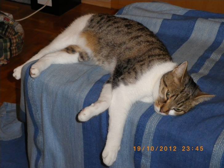 Luna - (3 ans)