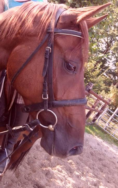 Fiona - (3 ans)