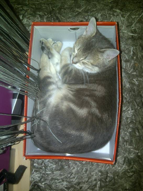 manille - (10 mois)