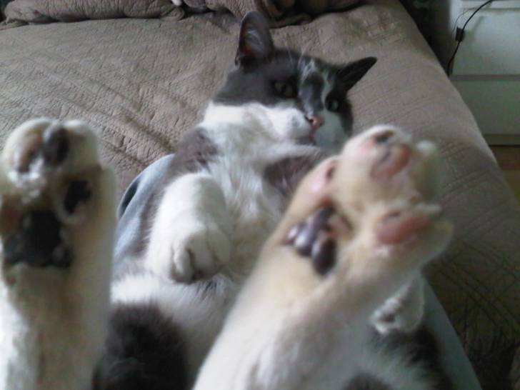 Mirabelle - (5 ans)