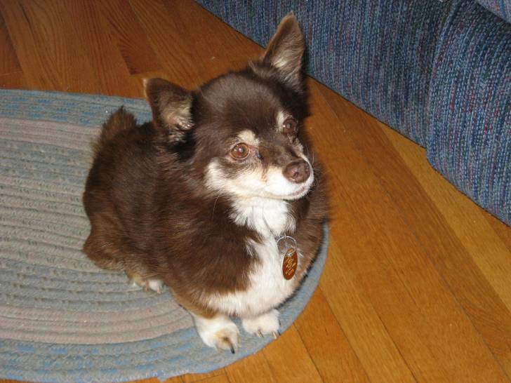 Tiny - (4 ans)