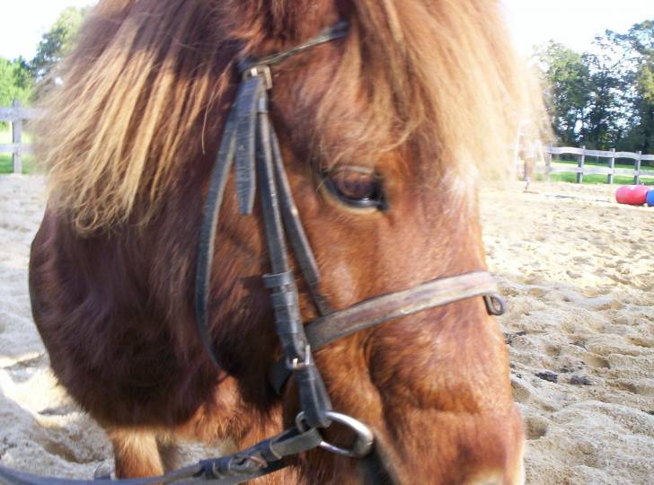 tic tac - Mâle (4 ans)