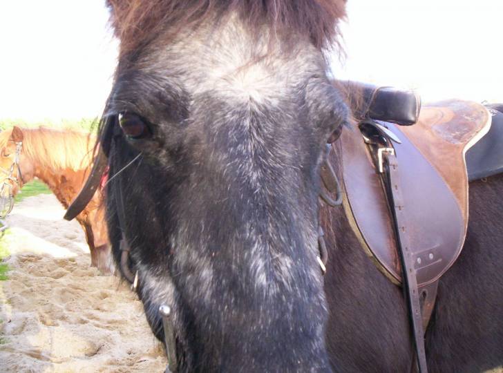 petite lune - (14 ans)