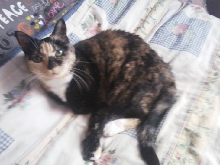 Chatouille - (18 ans)