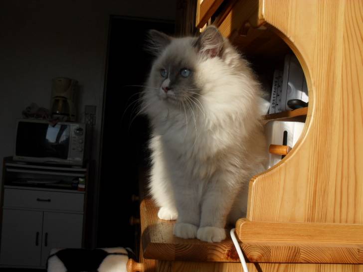 azzaro2 - (16 ans)