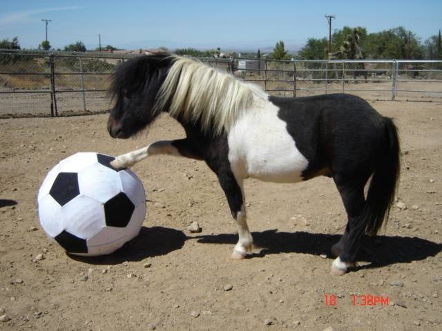 Jasmine - (3 ans)