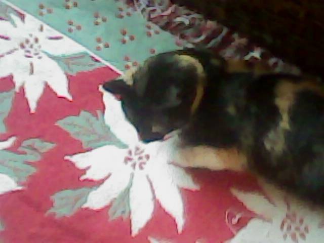 mika - (3 ans)