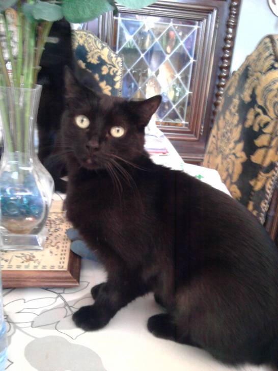 Luna - (7 ans)