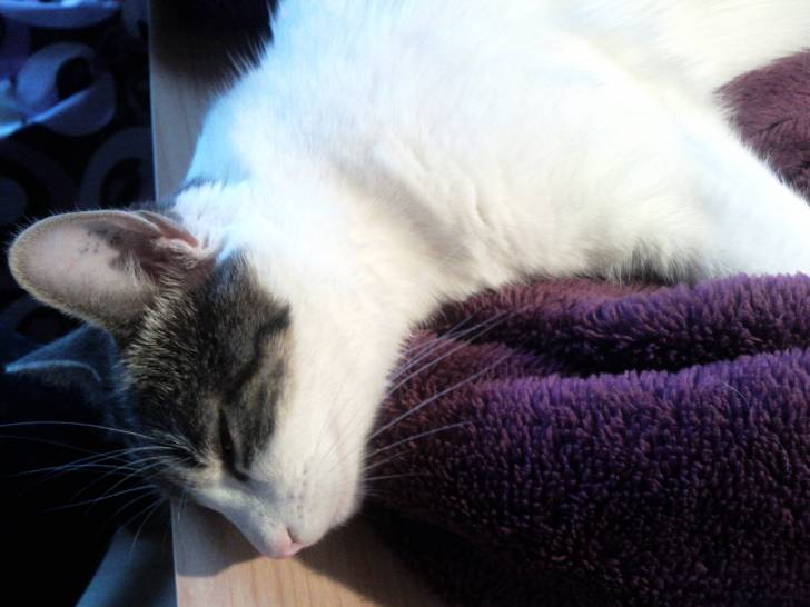 Leila - (2 ans)