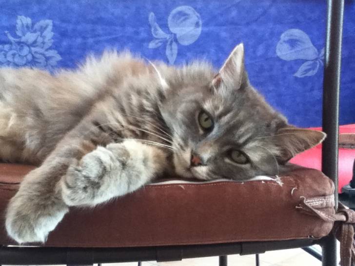 Moukie - (8 ans)
