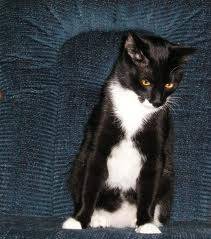 booboo - (2 ans)
