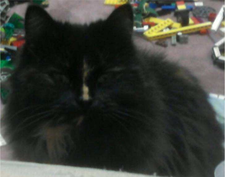 Sally - (3 ans)