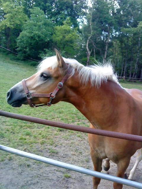 Emmi - (9 ans)