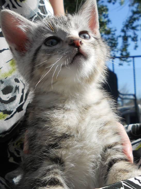My Baby - (4 mois)