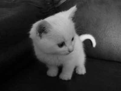 Caty - (8 mois)