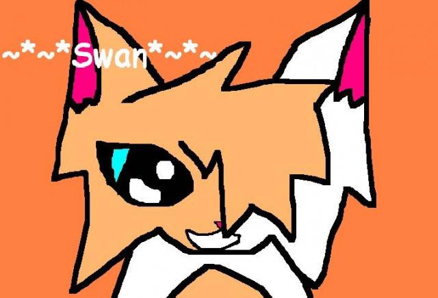 Swaneh! - (11 mois)