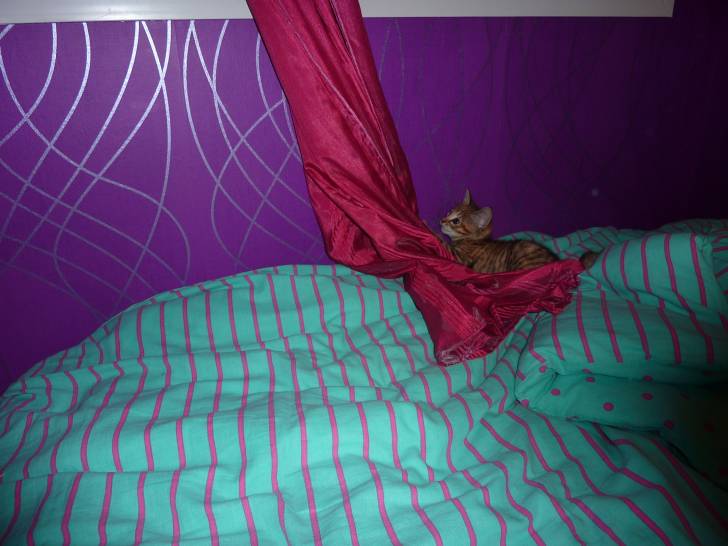 Louna - (3 mois)