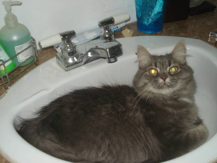 mandzy - (2 ans)
