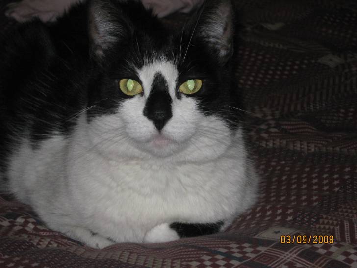 lucia - (9 ans)