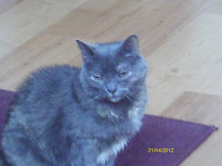 Poupoune - (16 ans)