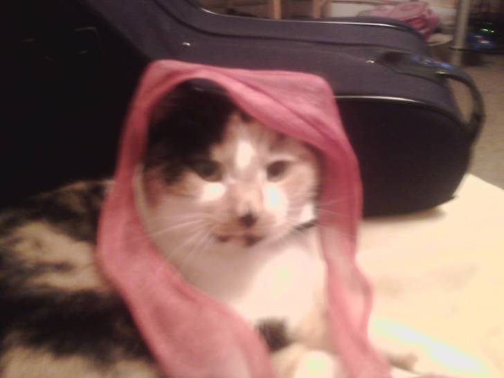 Bubbles - (13 ans)