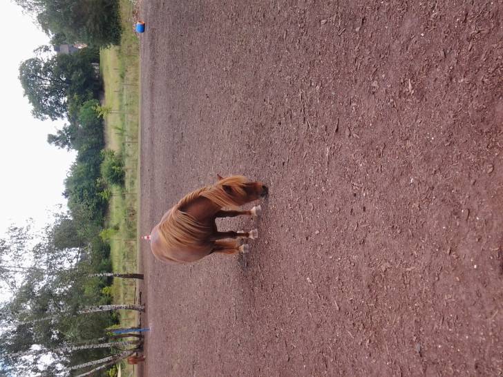 Daisy - (9 ans)