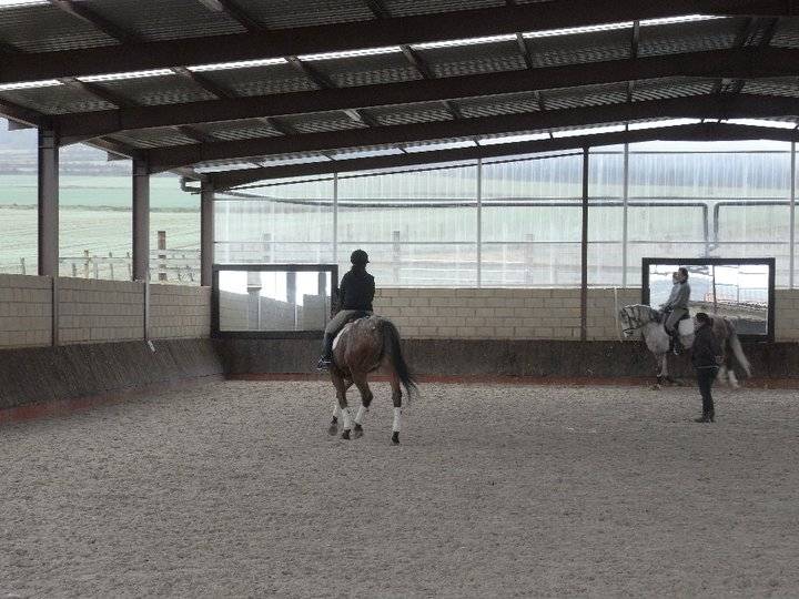 Cabeza - Mâle (14 ans)