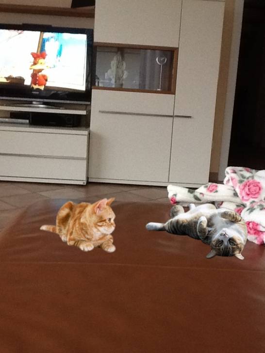 Laila&Stella - (3 ans)
