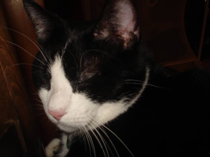 Betty - (6 ans)