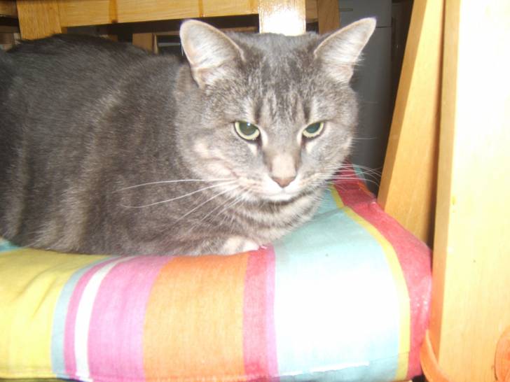 messaline - (7 ans)