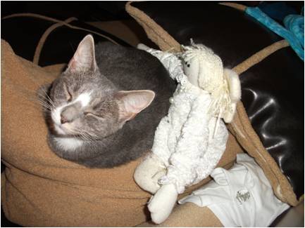 Molly - (11 mois)